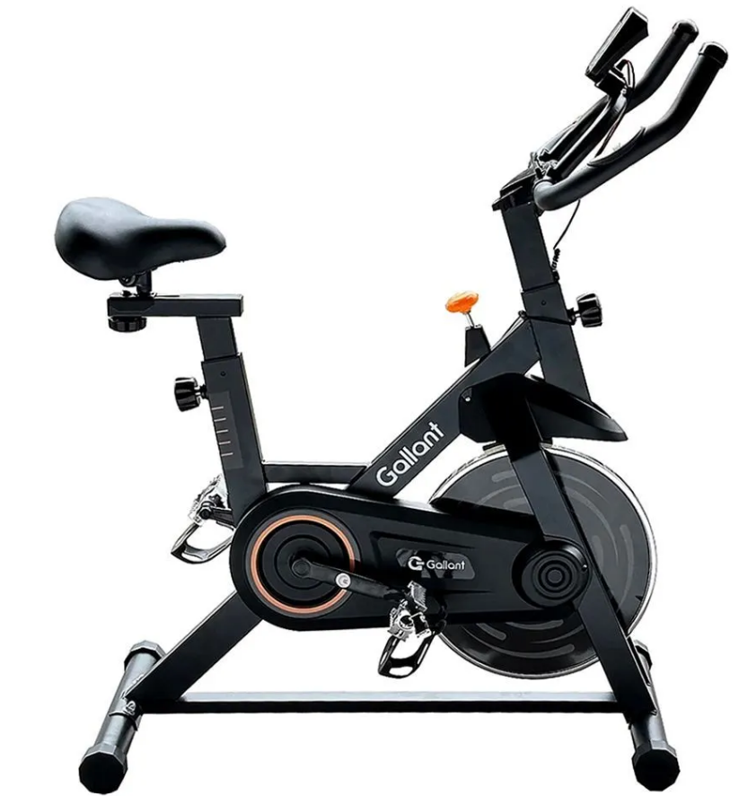 spinning trainer gallant